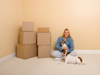 Checklist for pet shipping