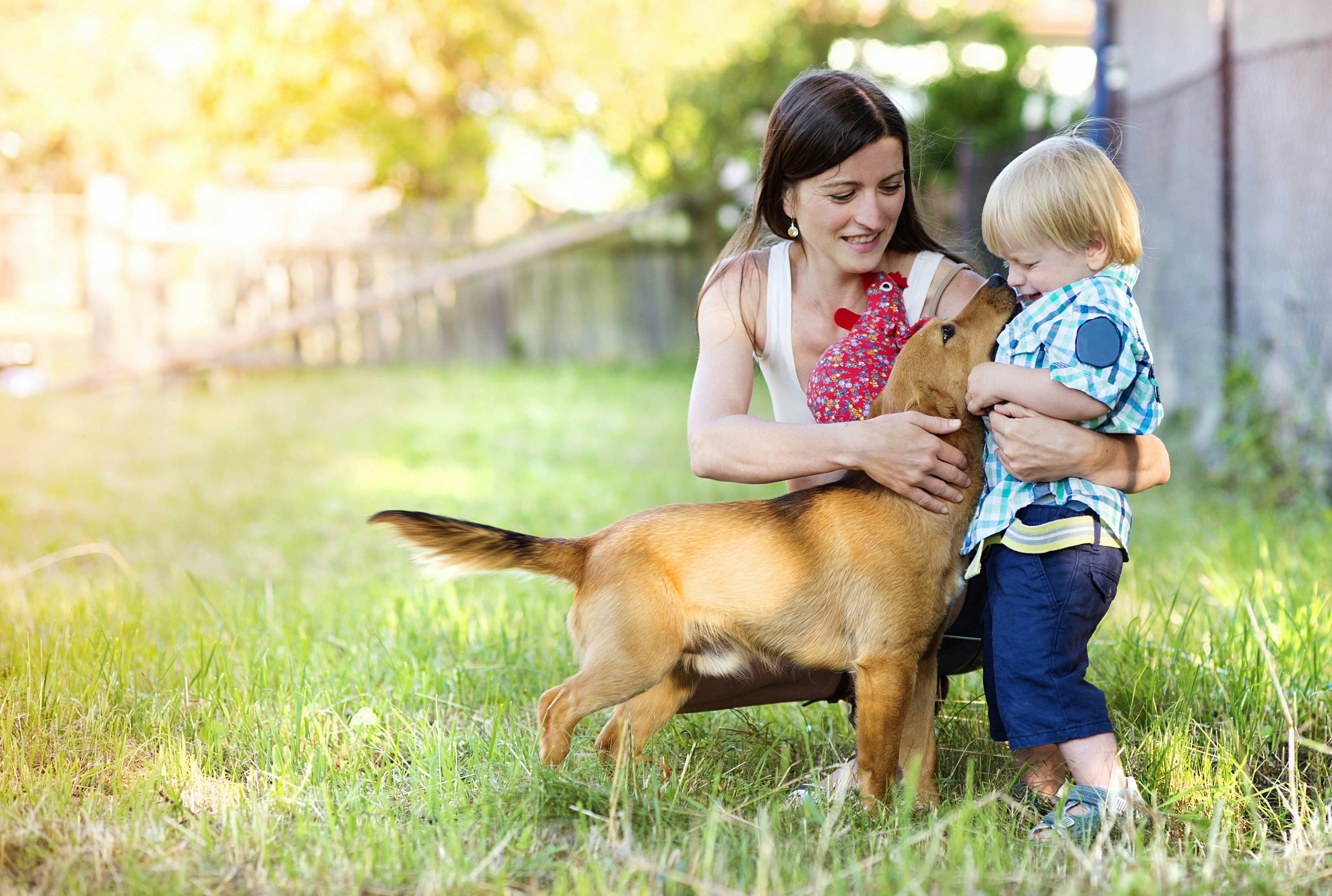 pet family