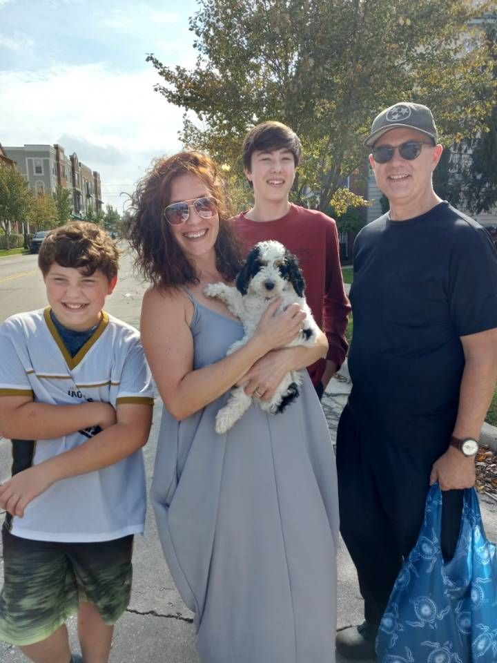 pet transportation review