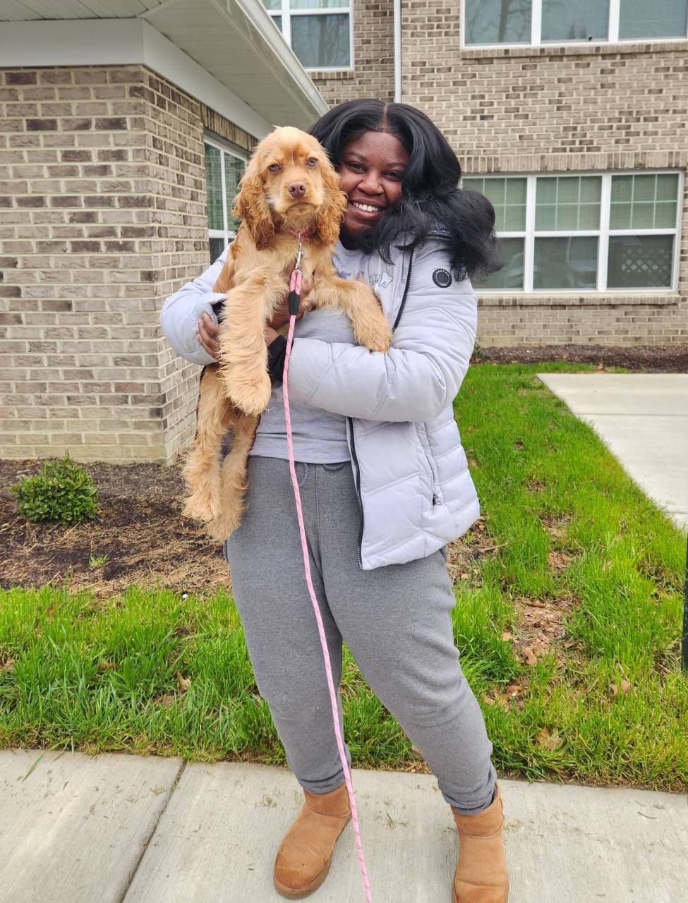 pet transportation review