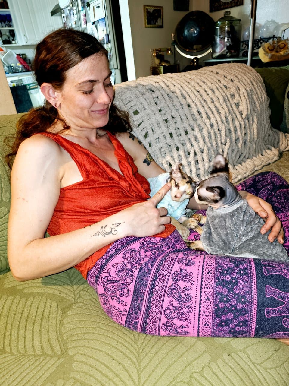 Pet travel photo 4