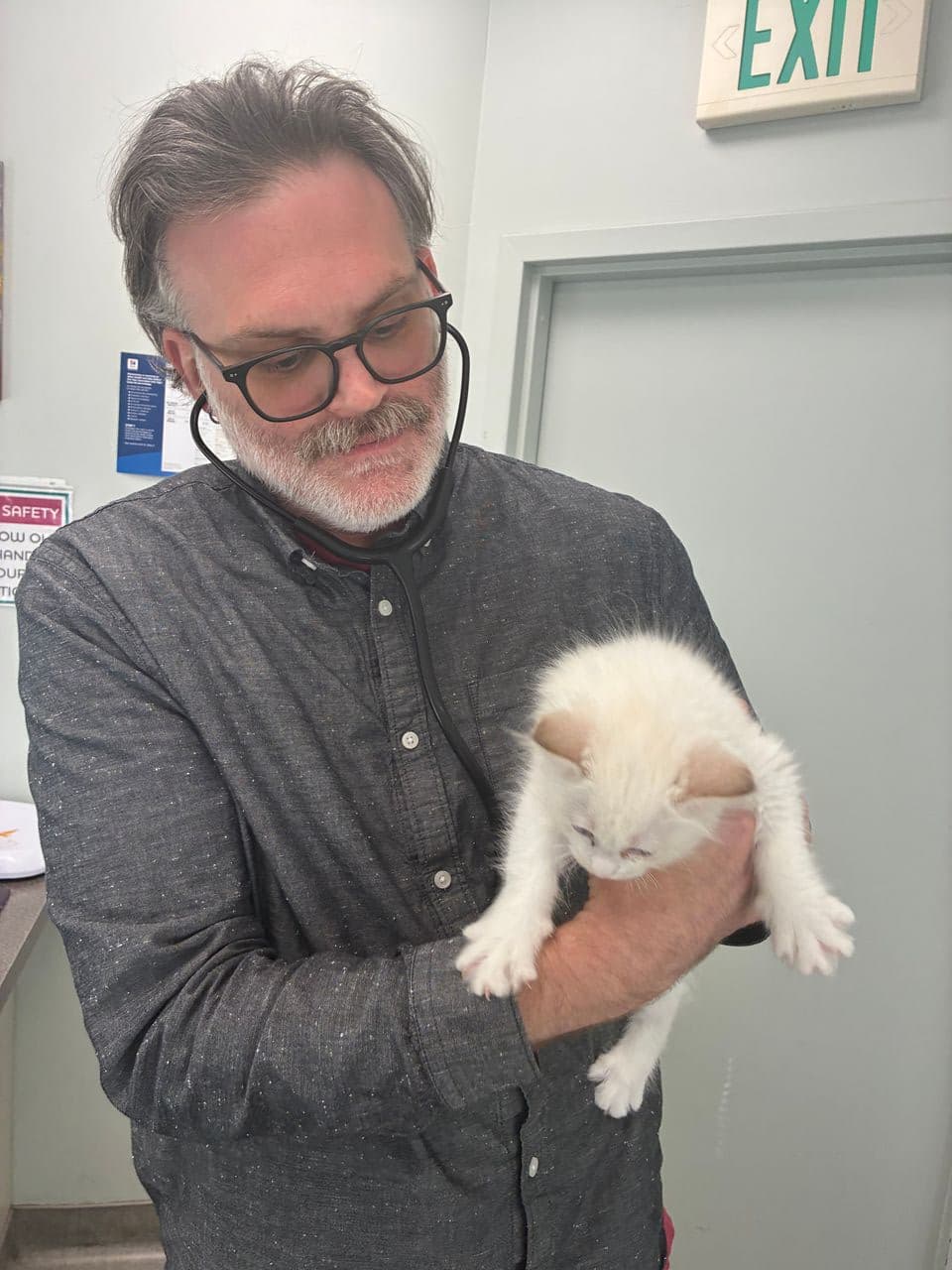 Pet travel photo 6