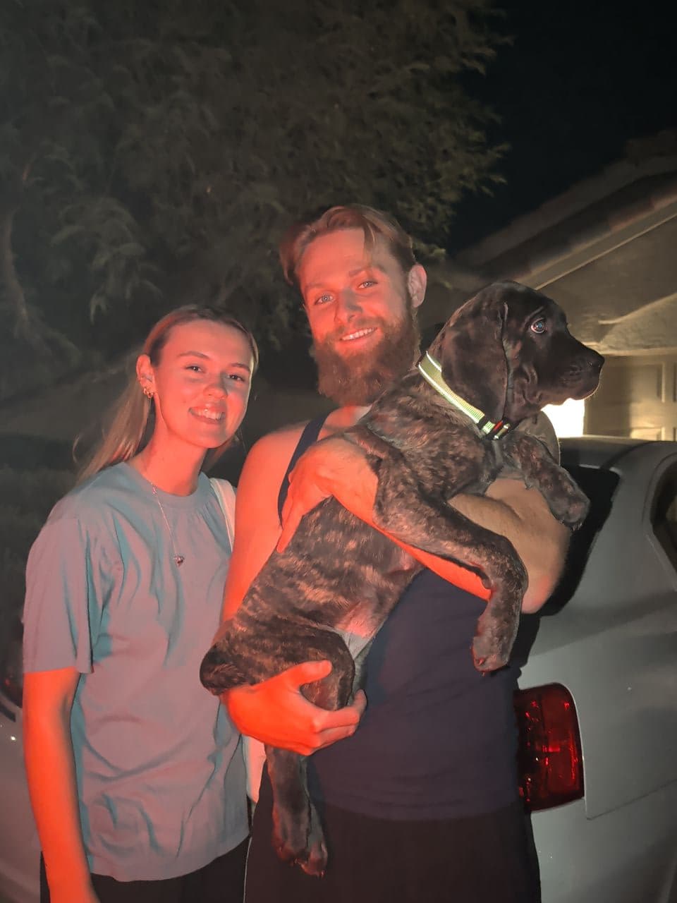 Pet travel photo 2