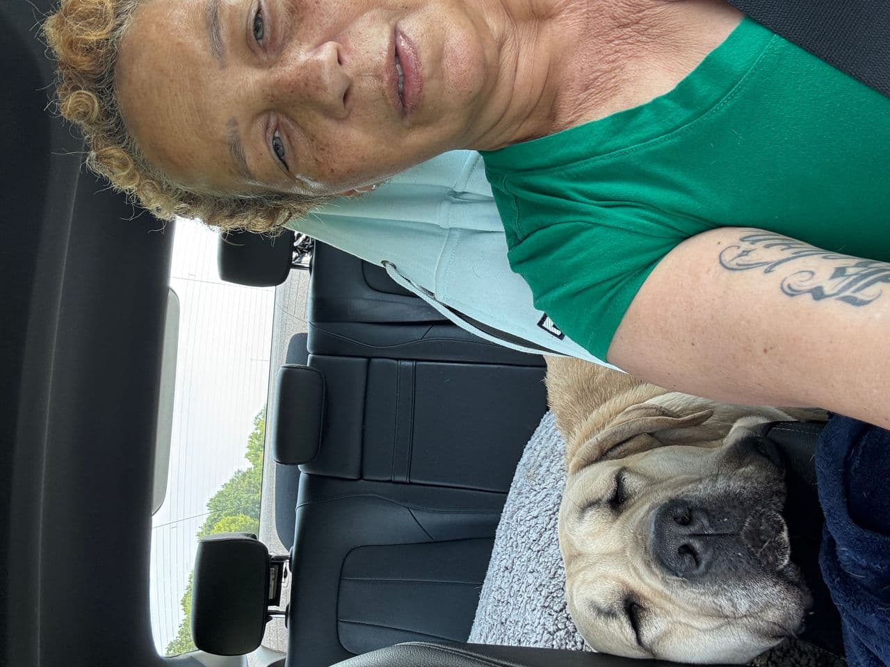 Pet travel photo 2