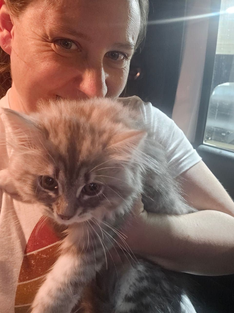 Pet travel photo 6