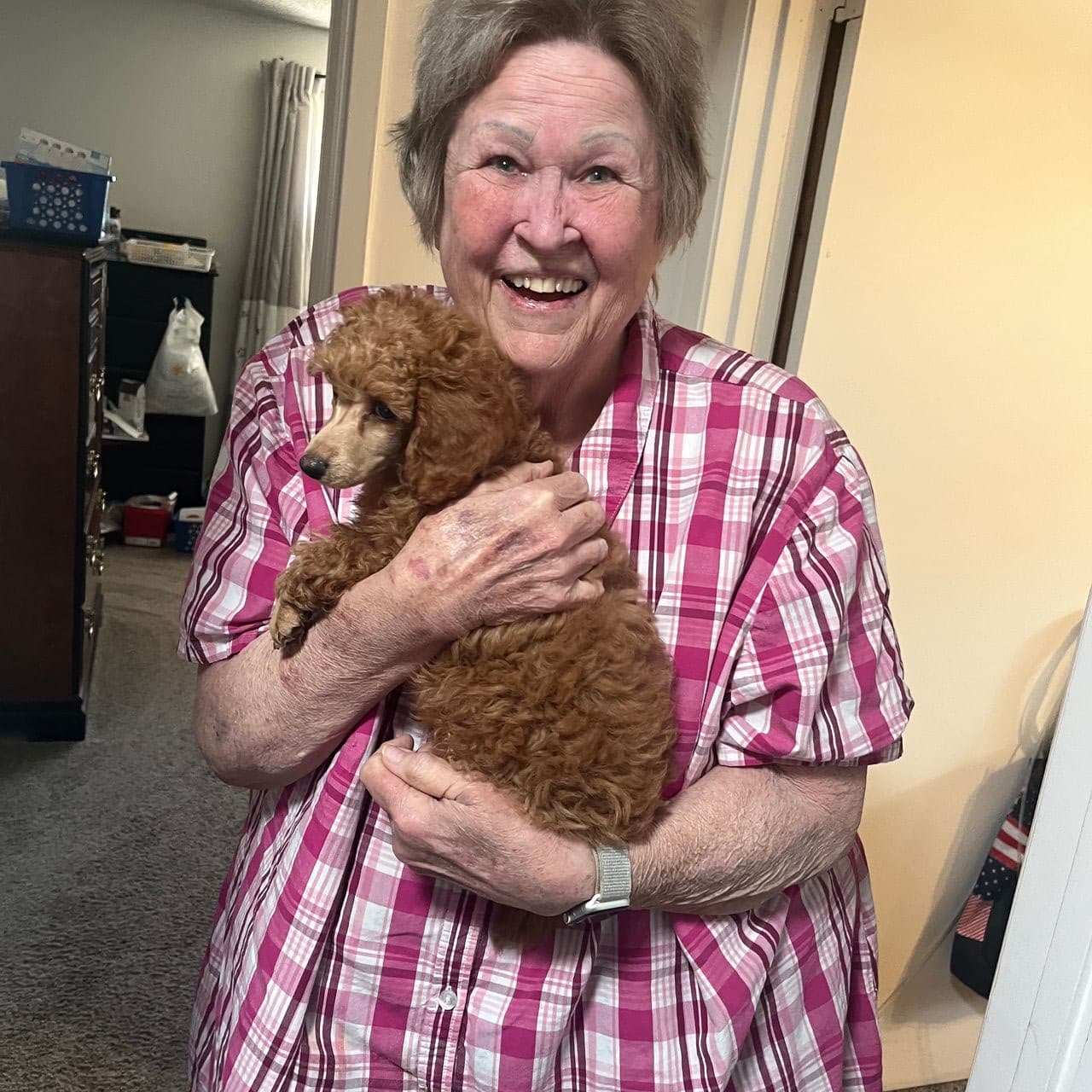 Pet travel photo 1