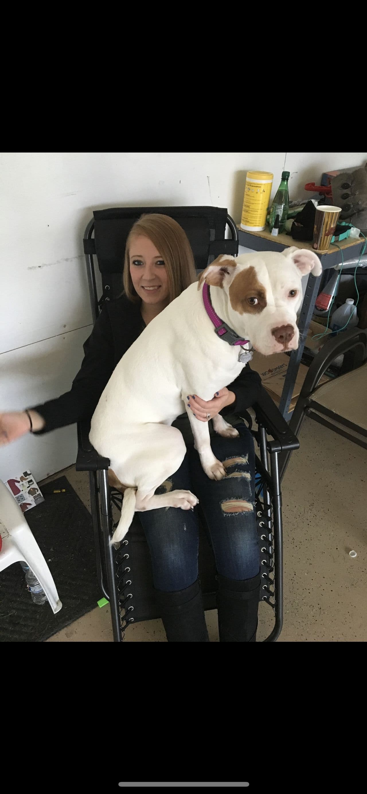 Pet travel photo 3