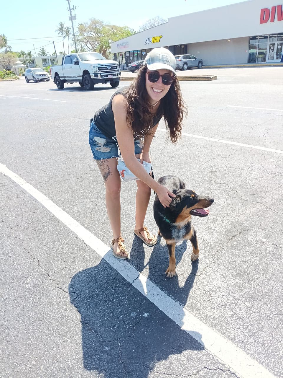 Pet travel photo 6