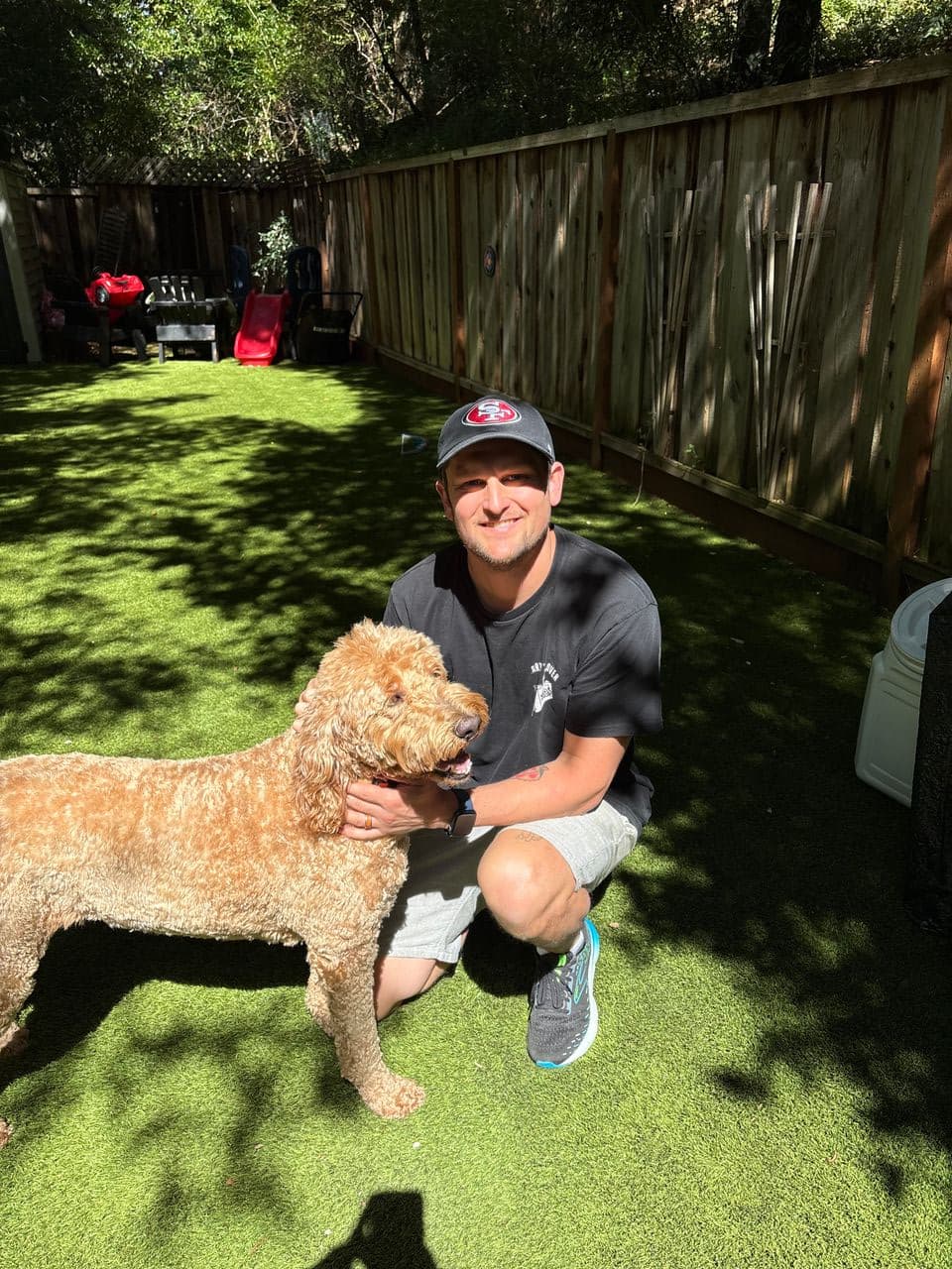 Pet travel photo 2
