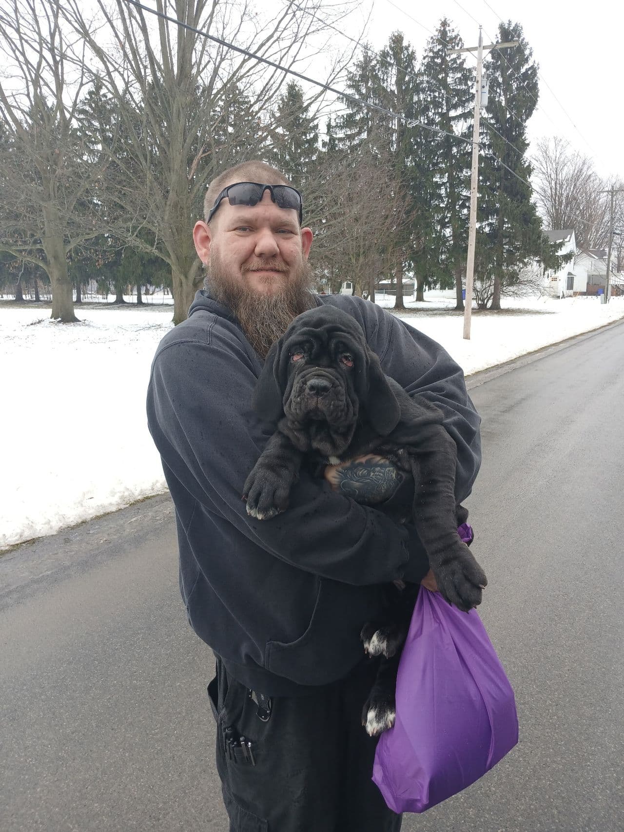 Pet travel photo 6