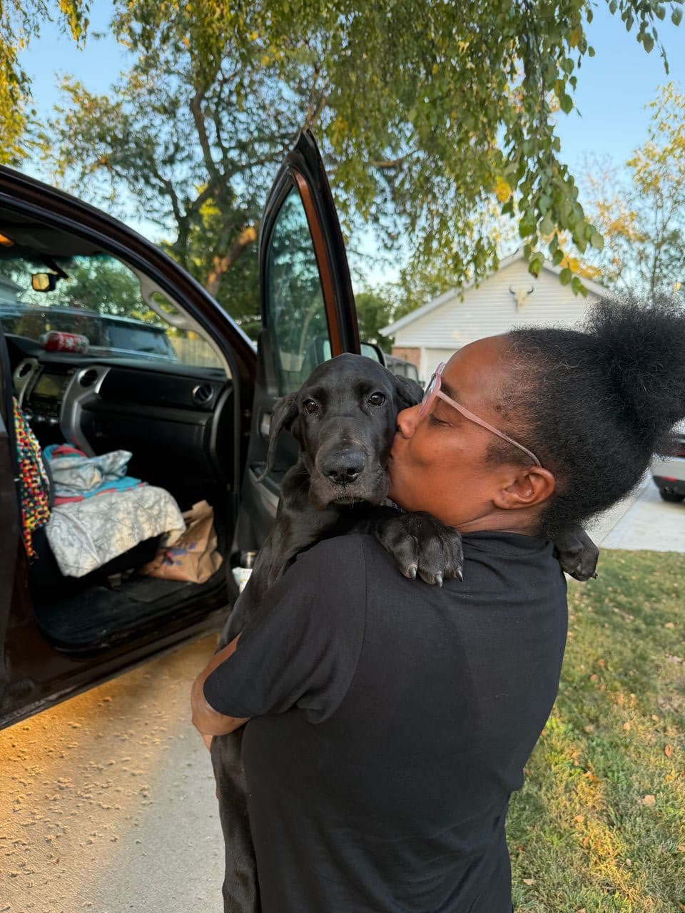 Pet travel photo 2