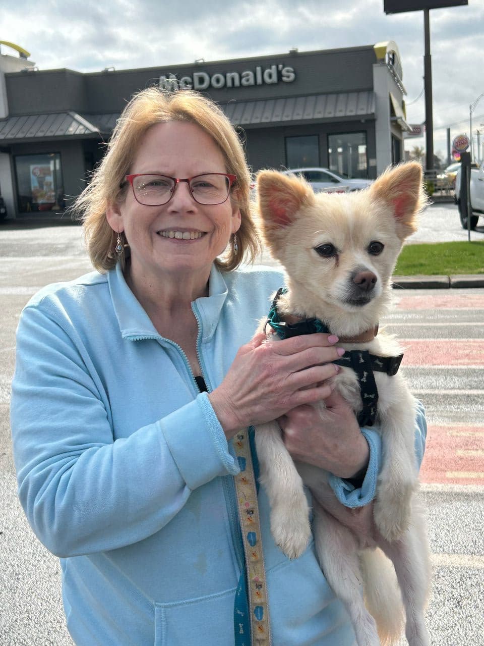 Pet travel photo 3