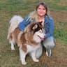 North Star Pet Transport LLC
