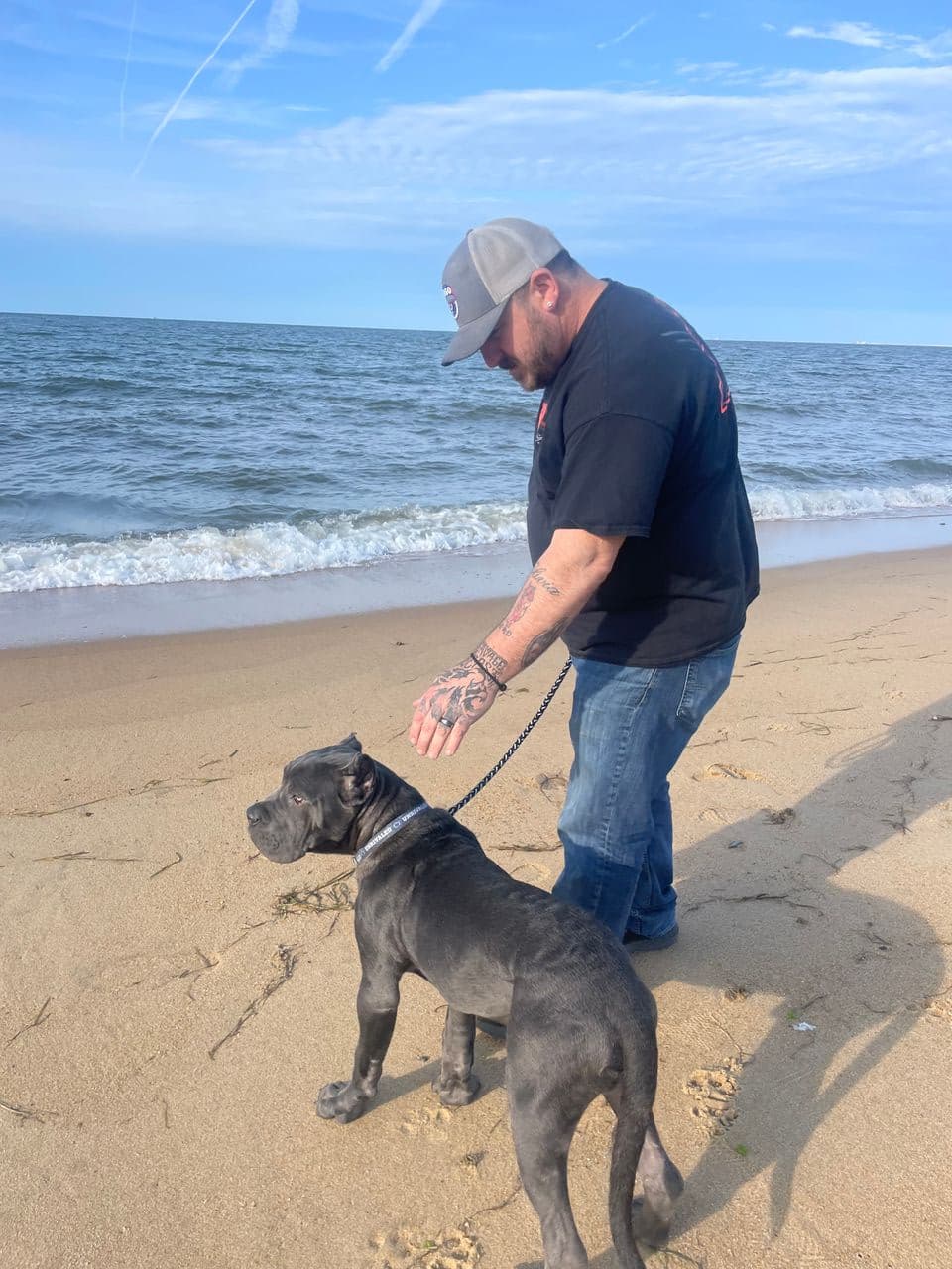Pet travel photo 6