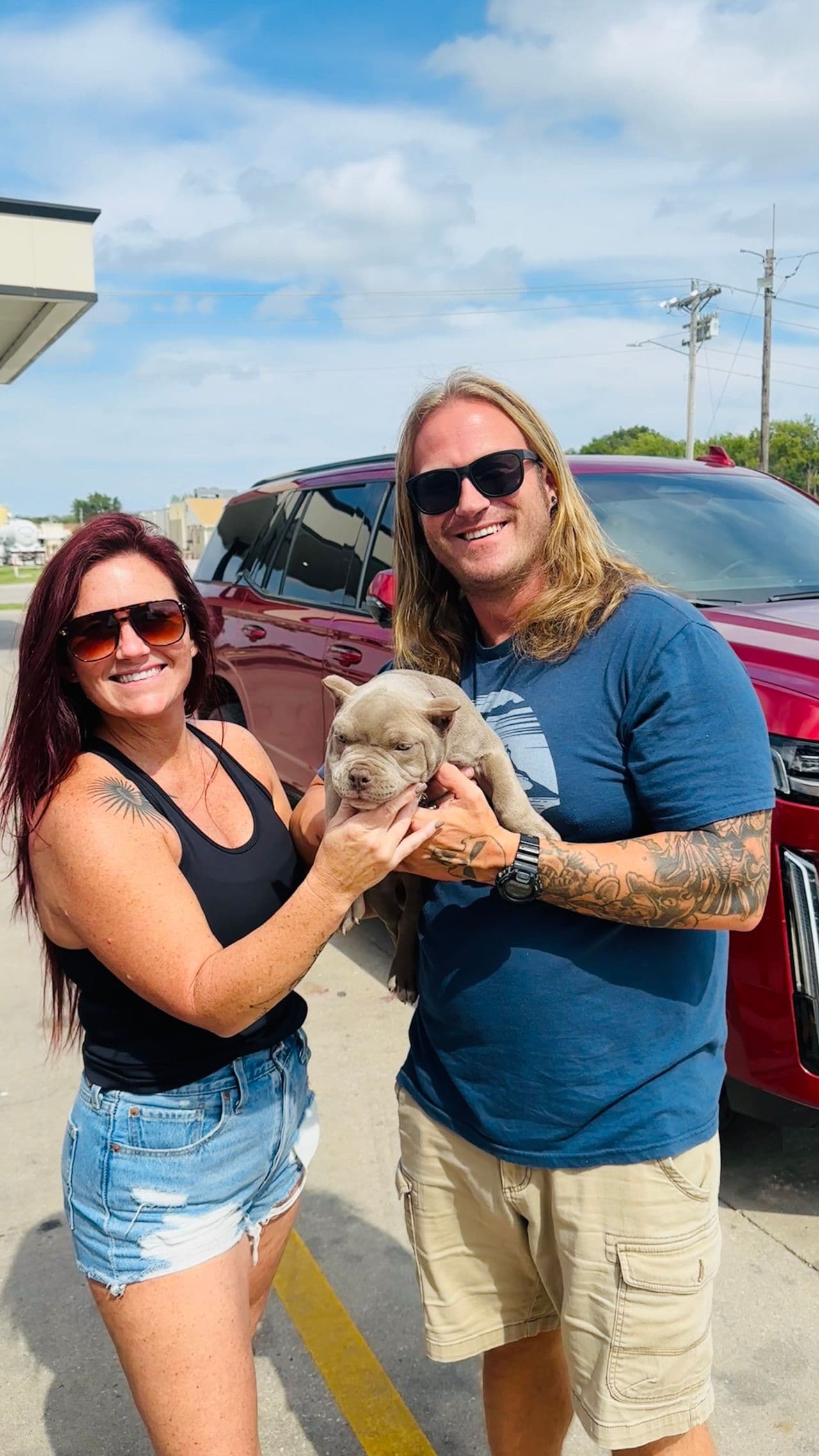 Pet travel photo 1