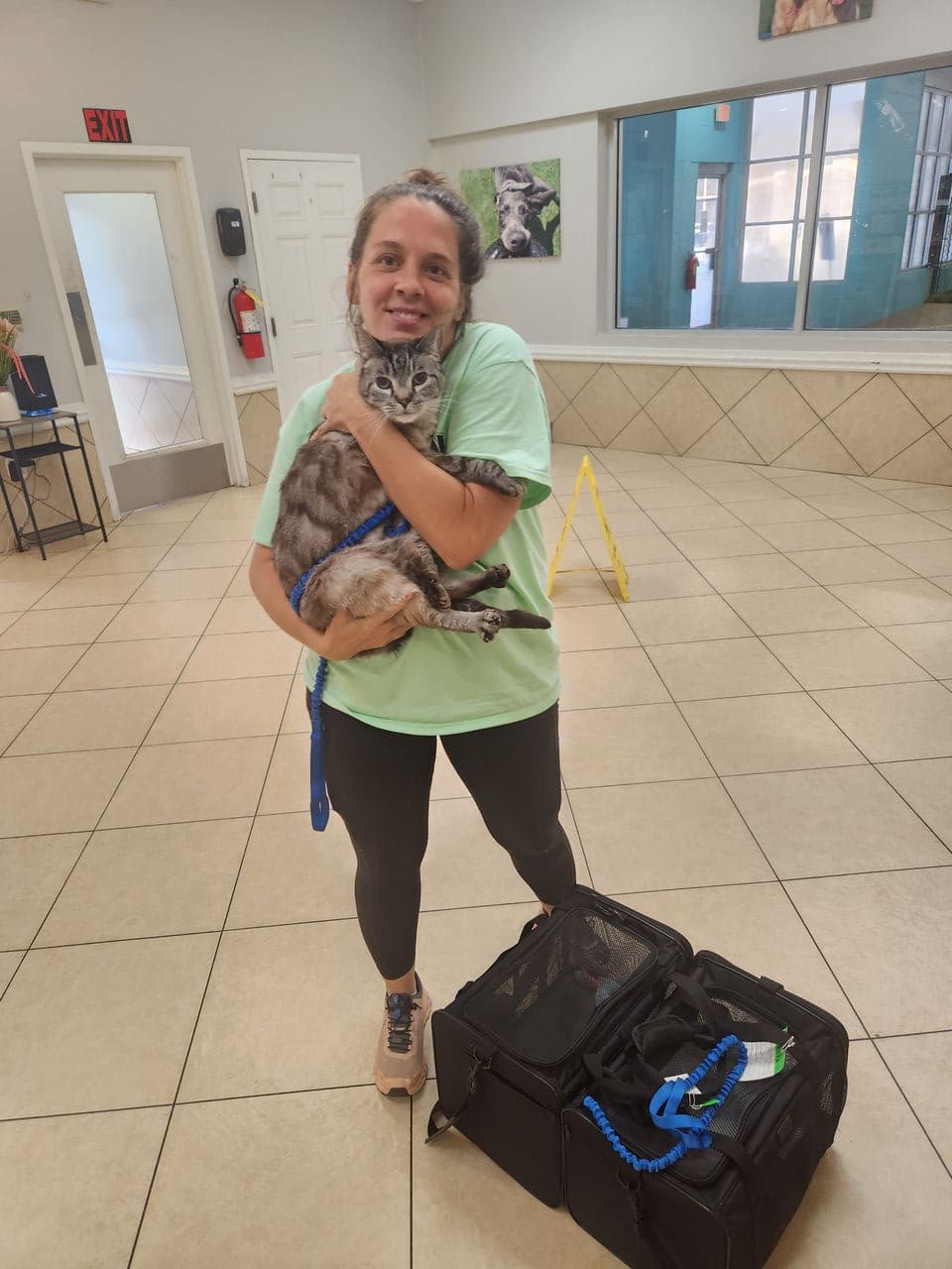 Pet travel photo 1