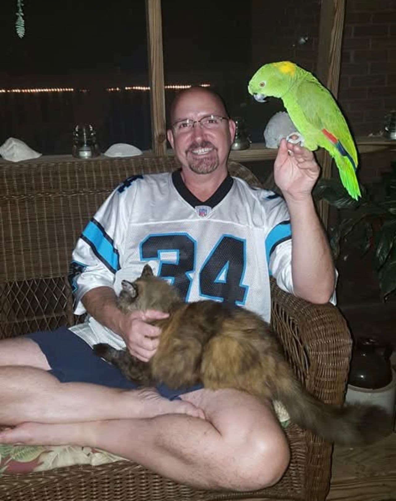 Pet travel photo 5