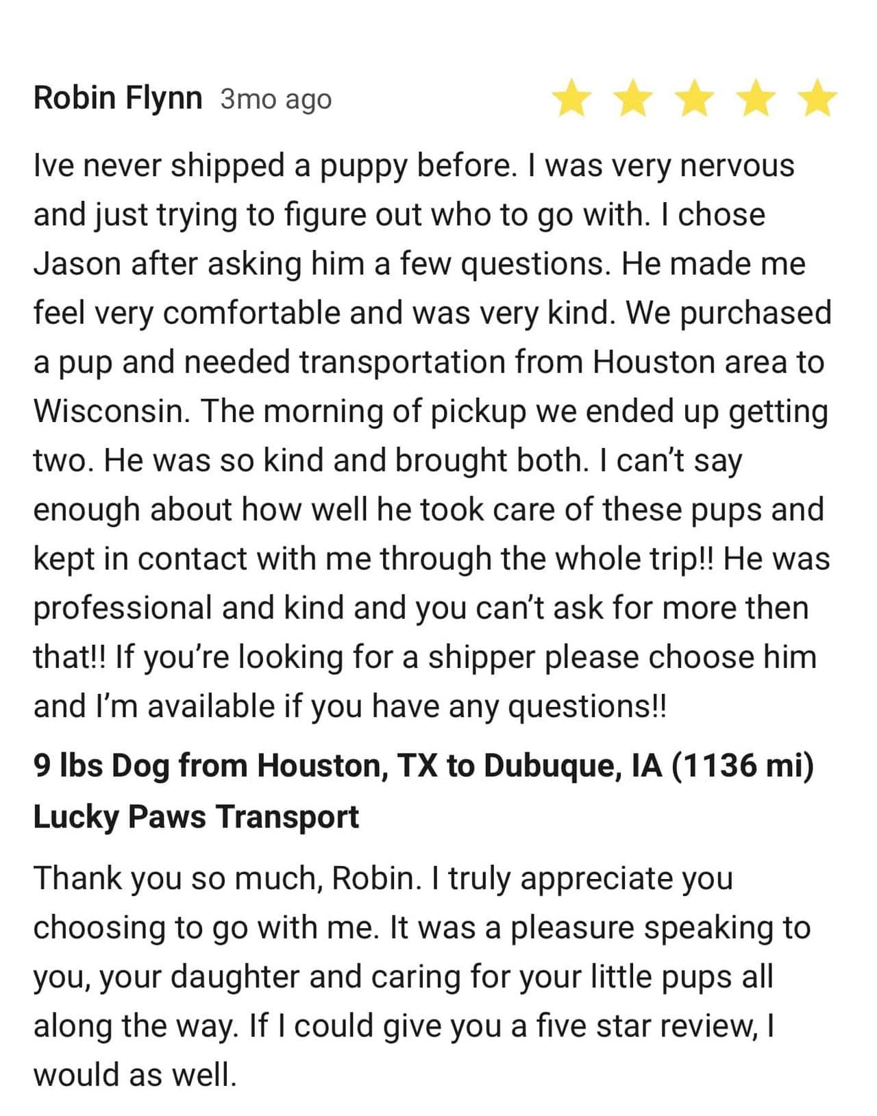 Pet travel photo 2