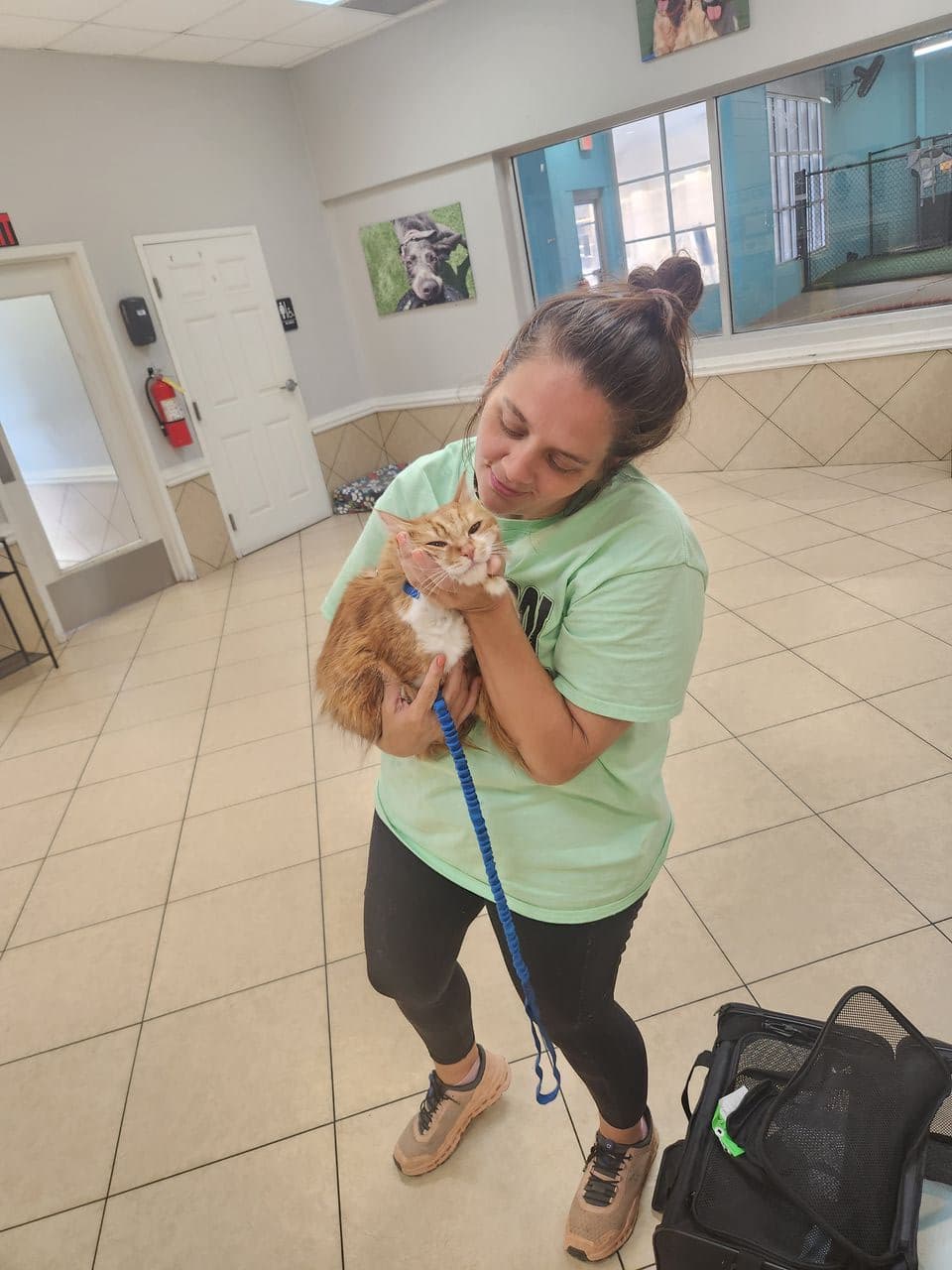 Pet travel photo 3