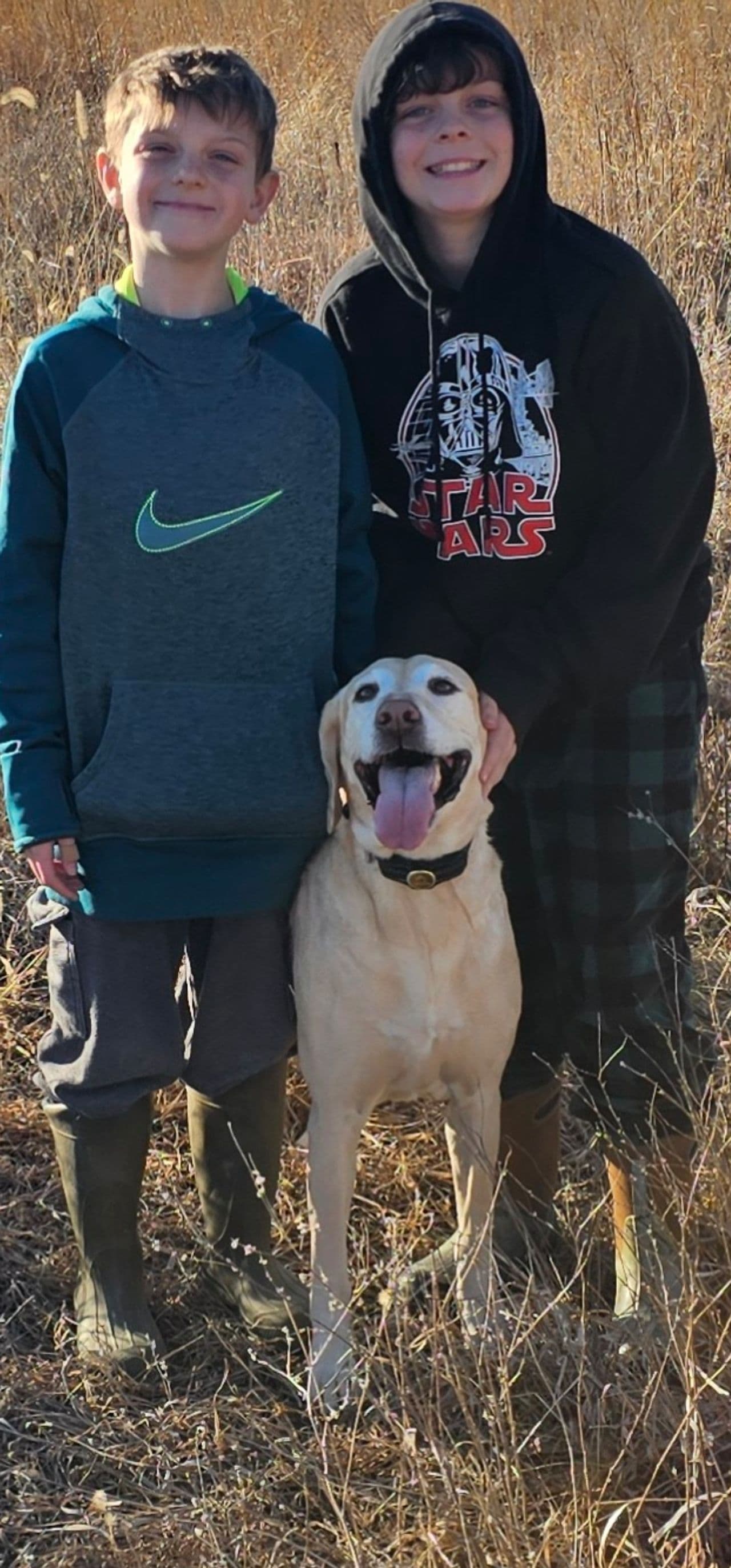 Pet travel photo 5