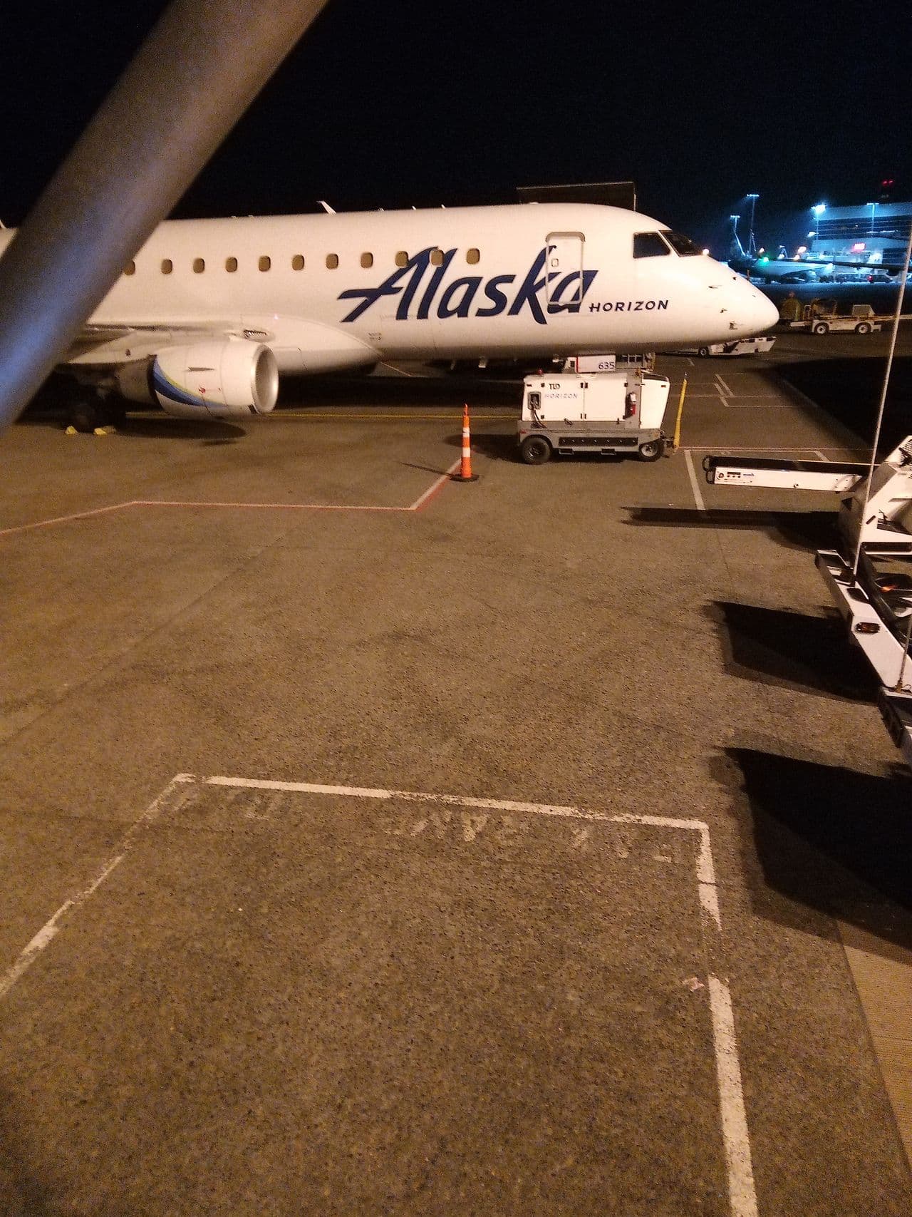 Pet travel photo 6