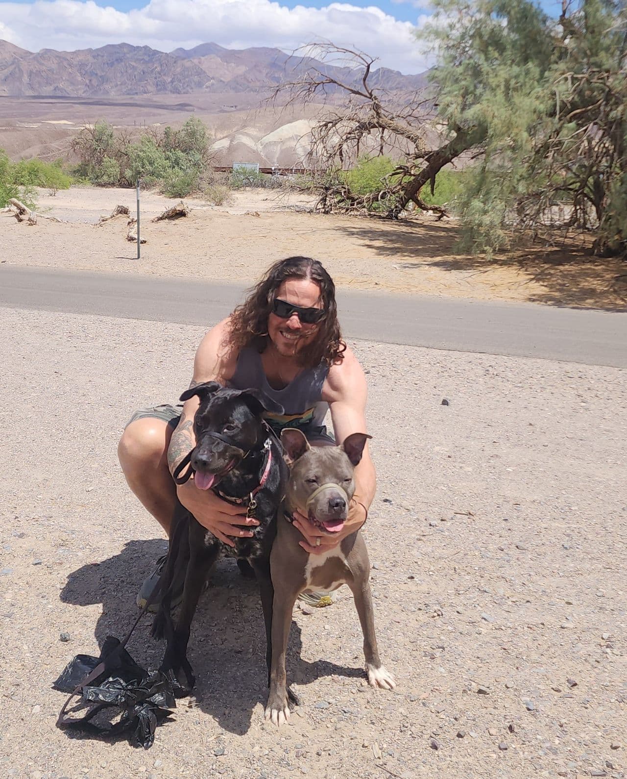 Pet travel photo 2
