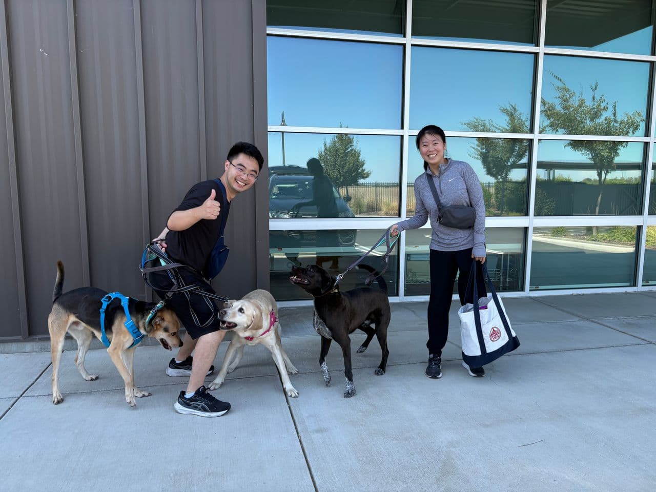 Pet travel photo 3