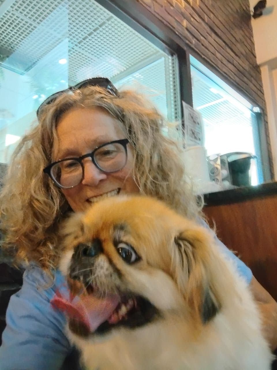 Pet travel photo 5