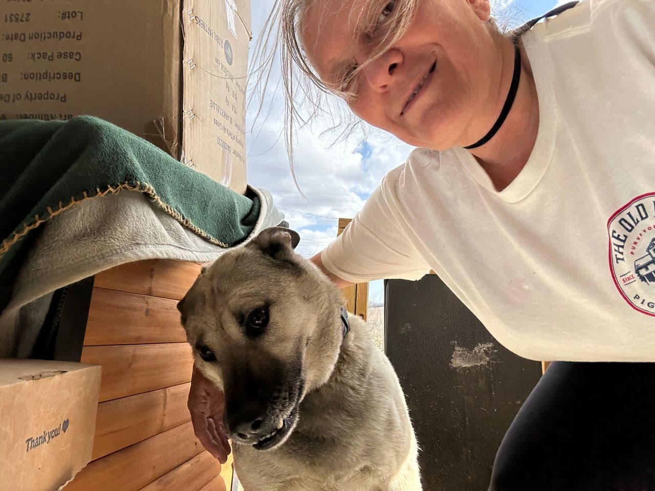 Pet travel photo 5