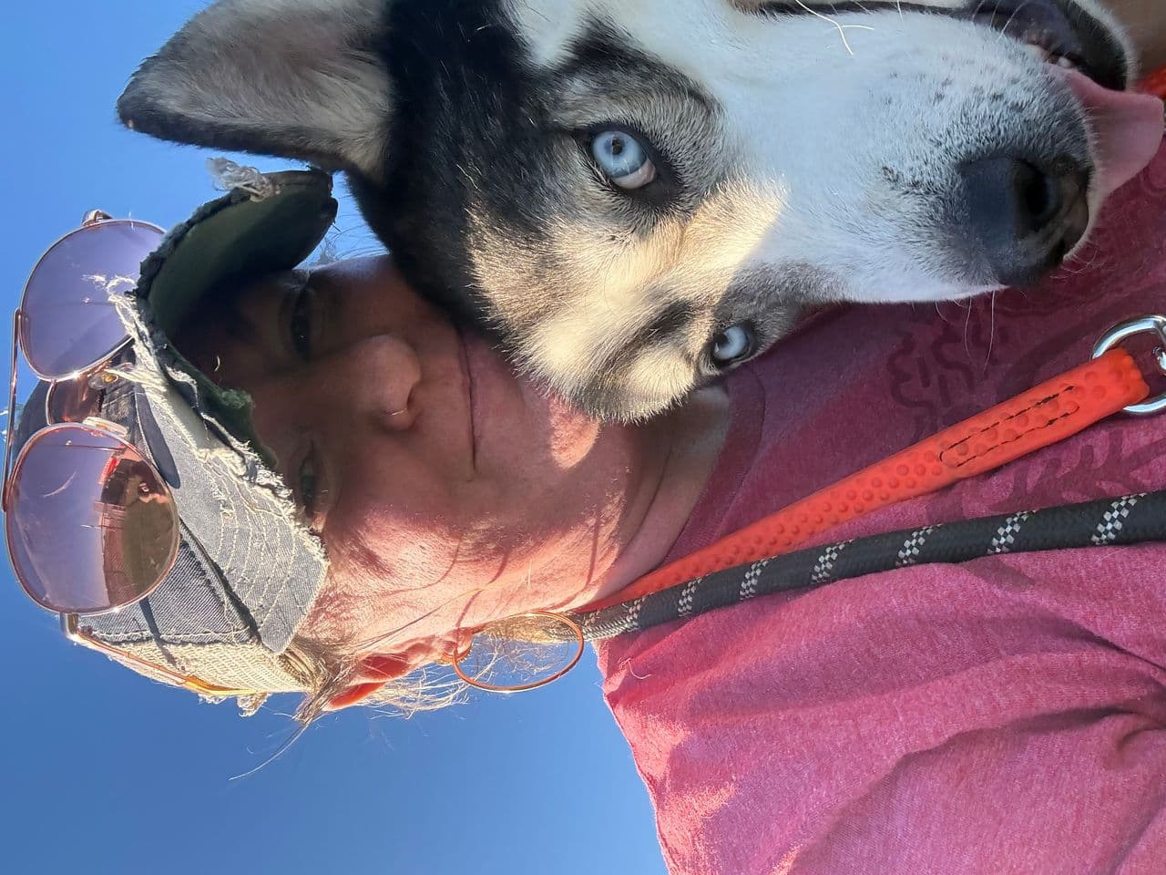 Pet travel photo 6
