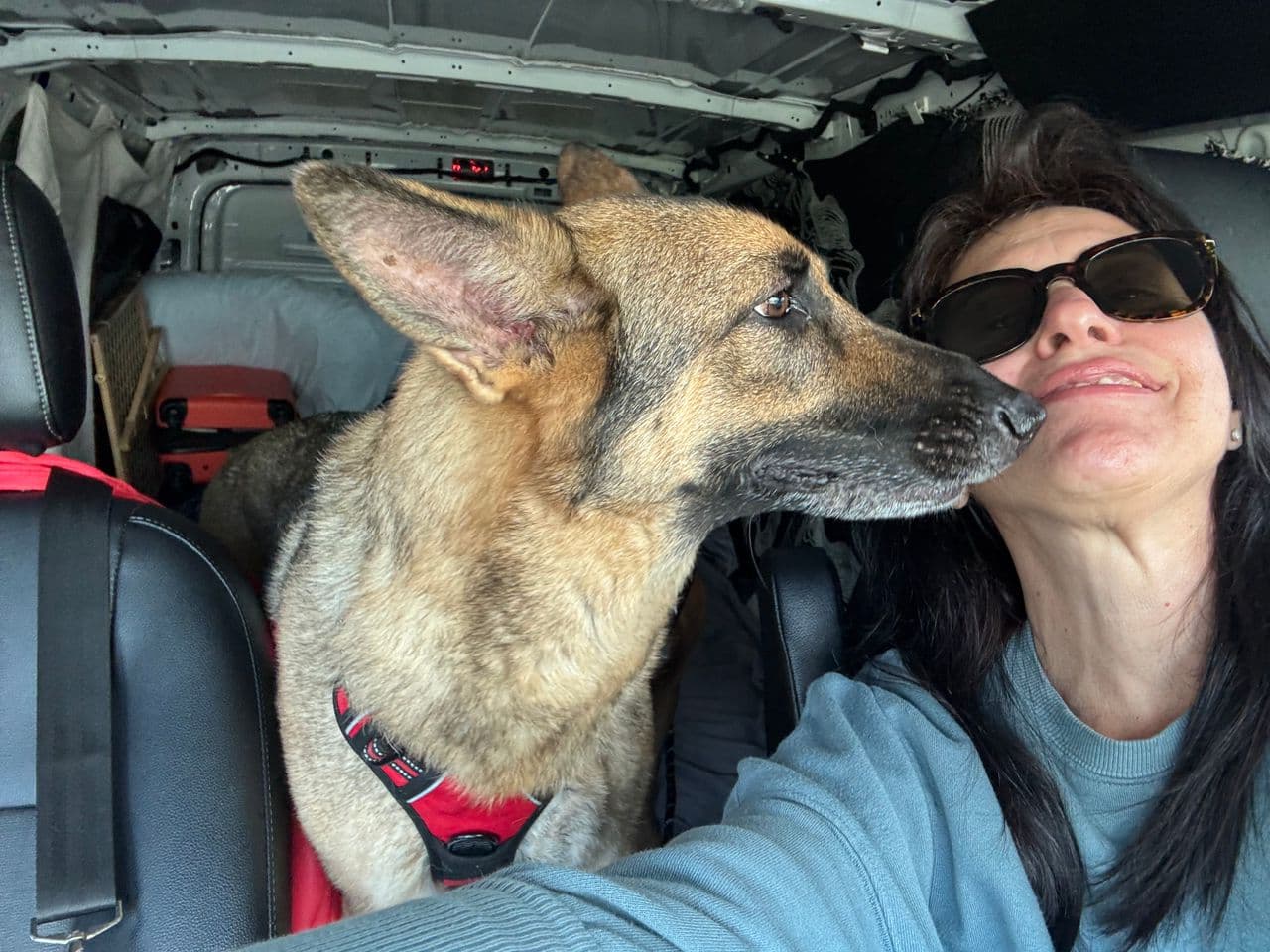 Pet travel photo 3