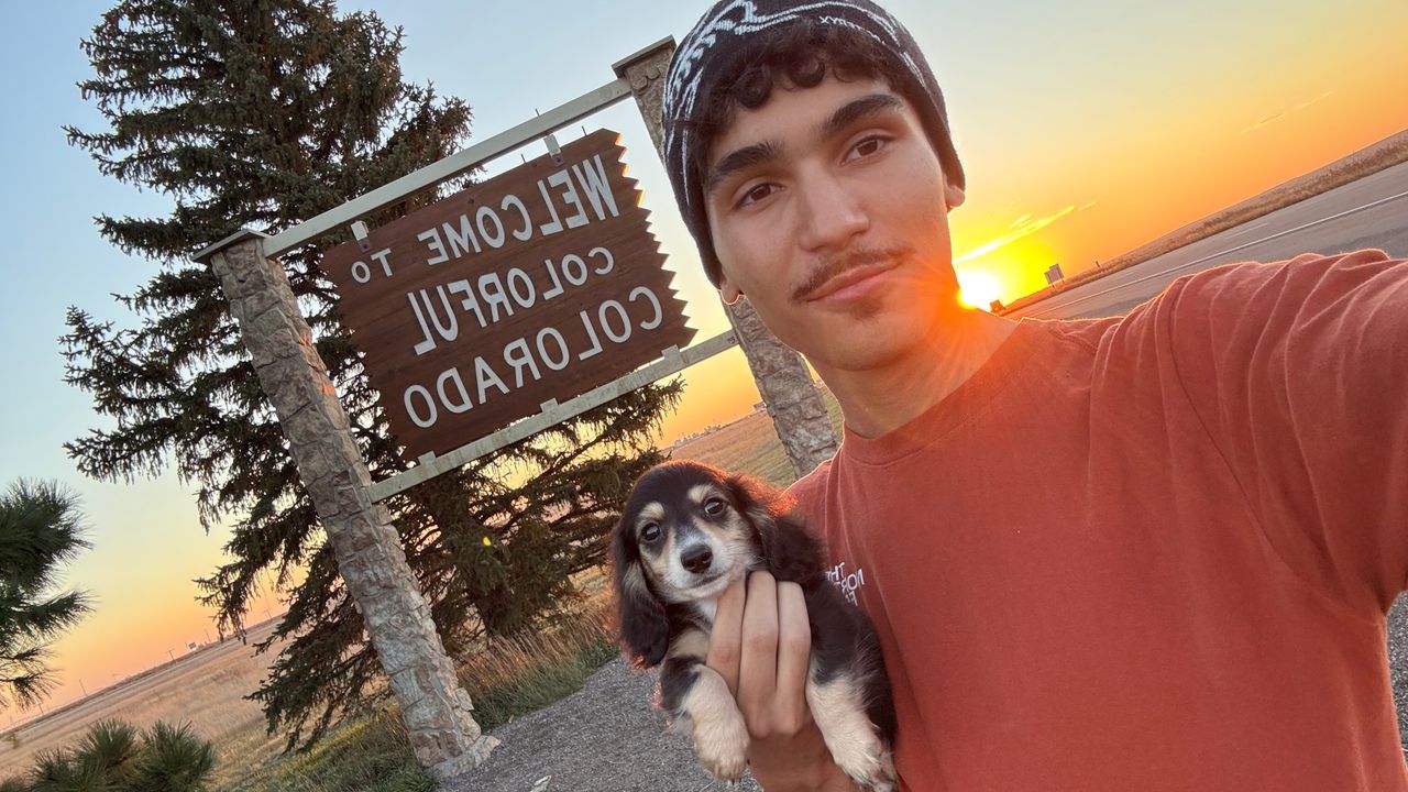 Pet travel photo 5