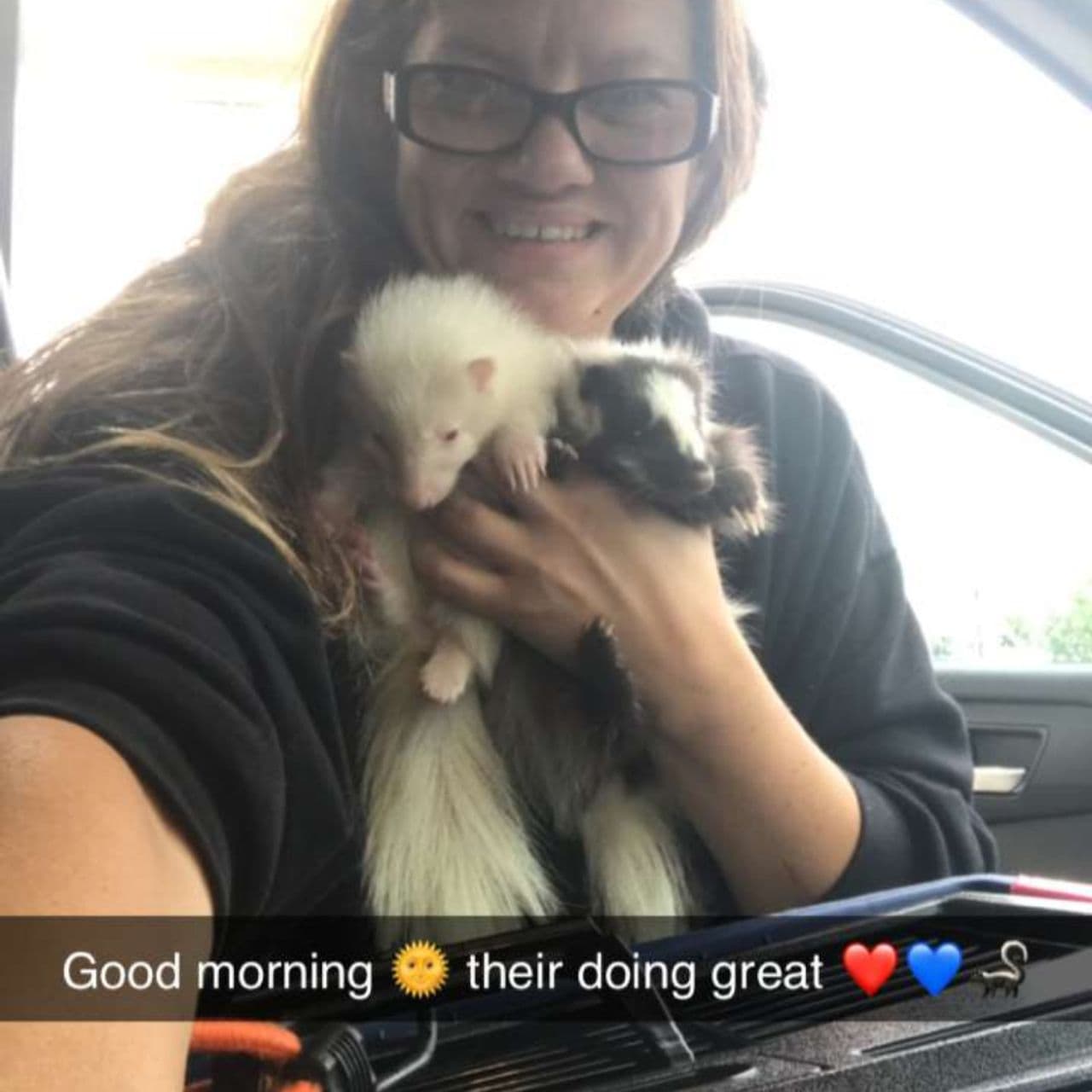 Pet travel photo 4