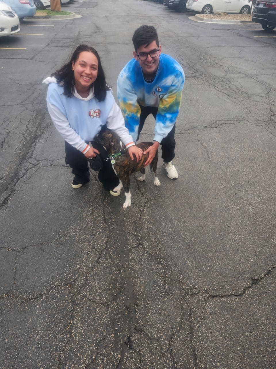 Pet travel photo 1