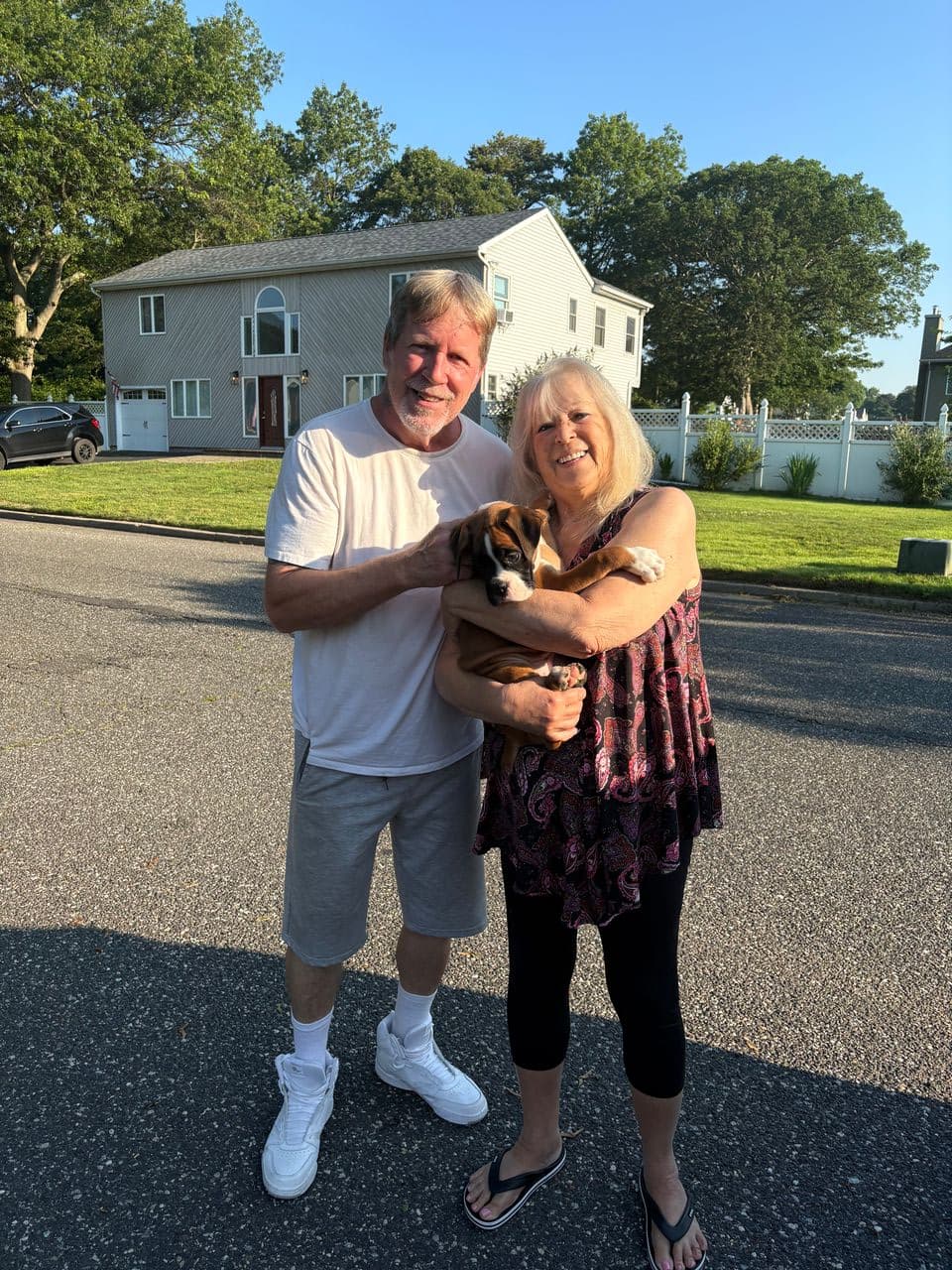 Pet travel photo 1