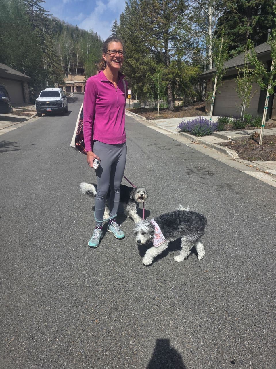 Pet travel photo 6