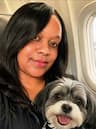 DePAWting Pet Flight Nanny Svcs