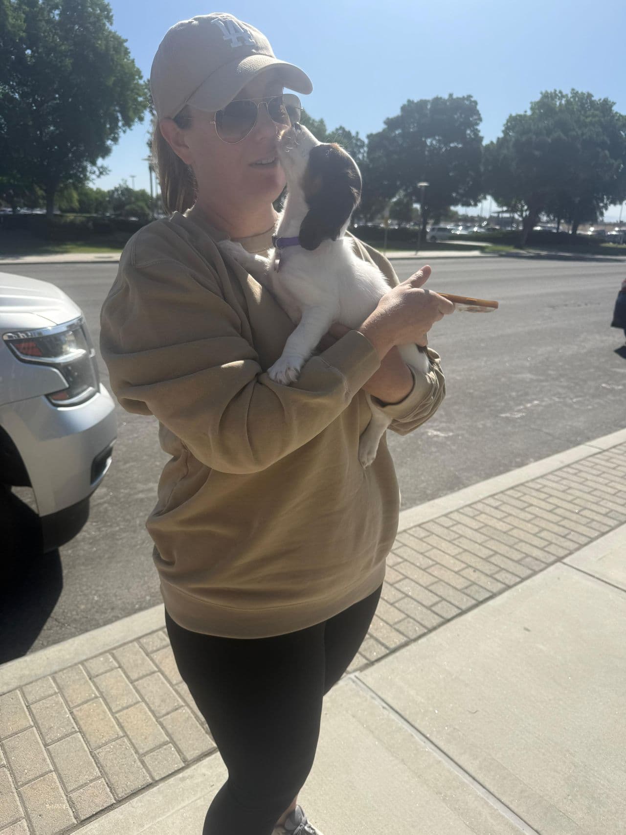 Pet travel photo 1