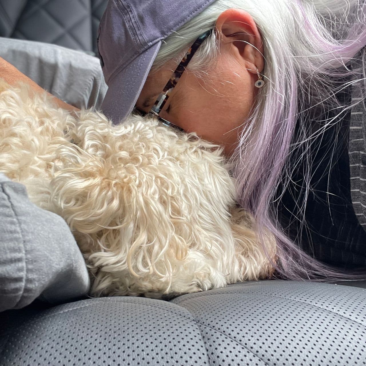 Pet travel photo 2