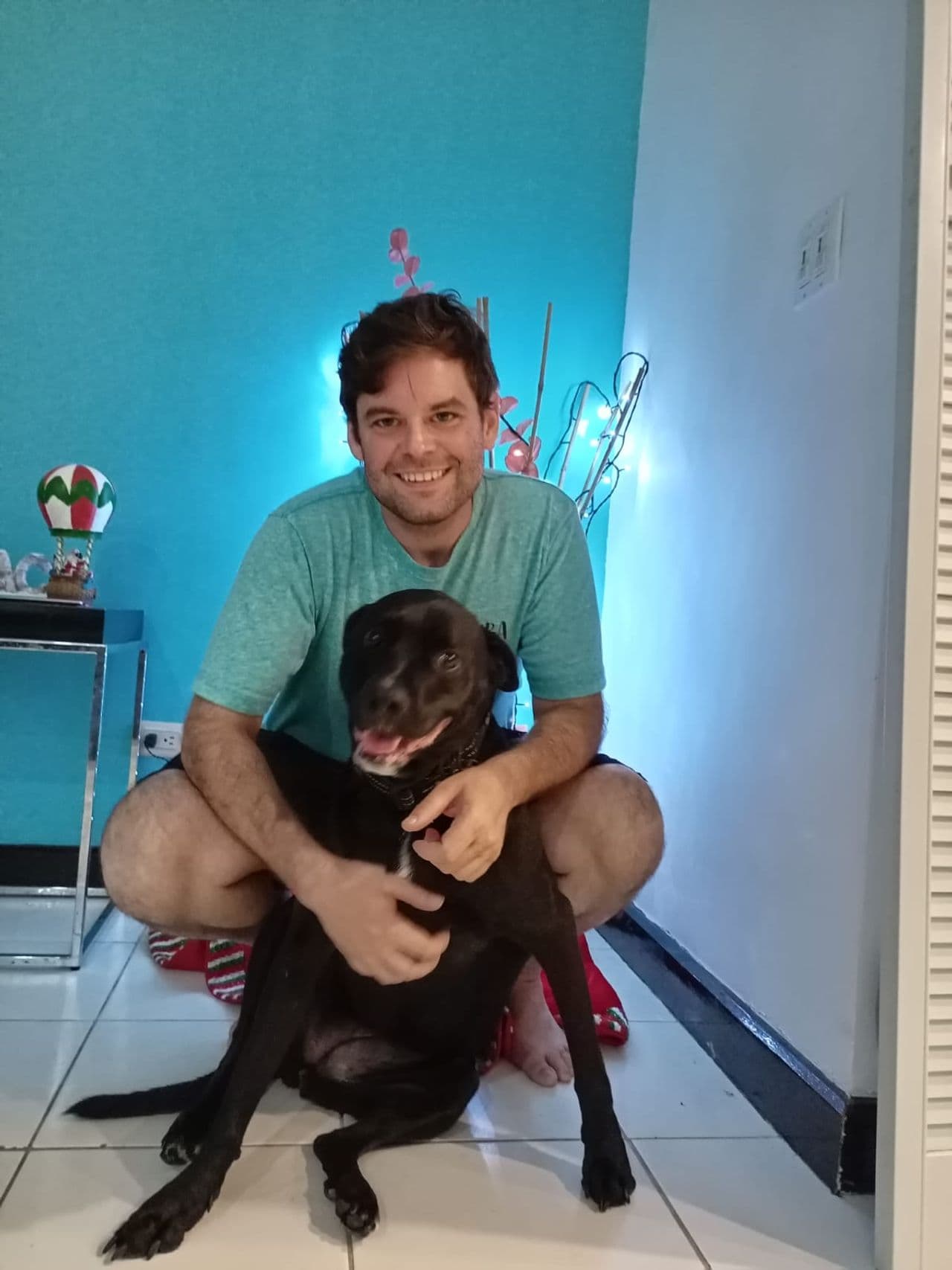 Pet travel photo 2