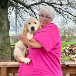 Pat's PetExpess Transport LLC