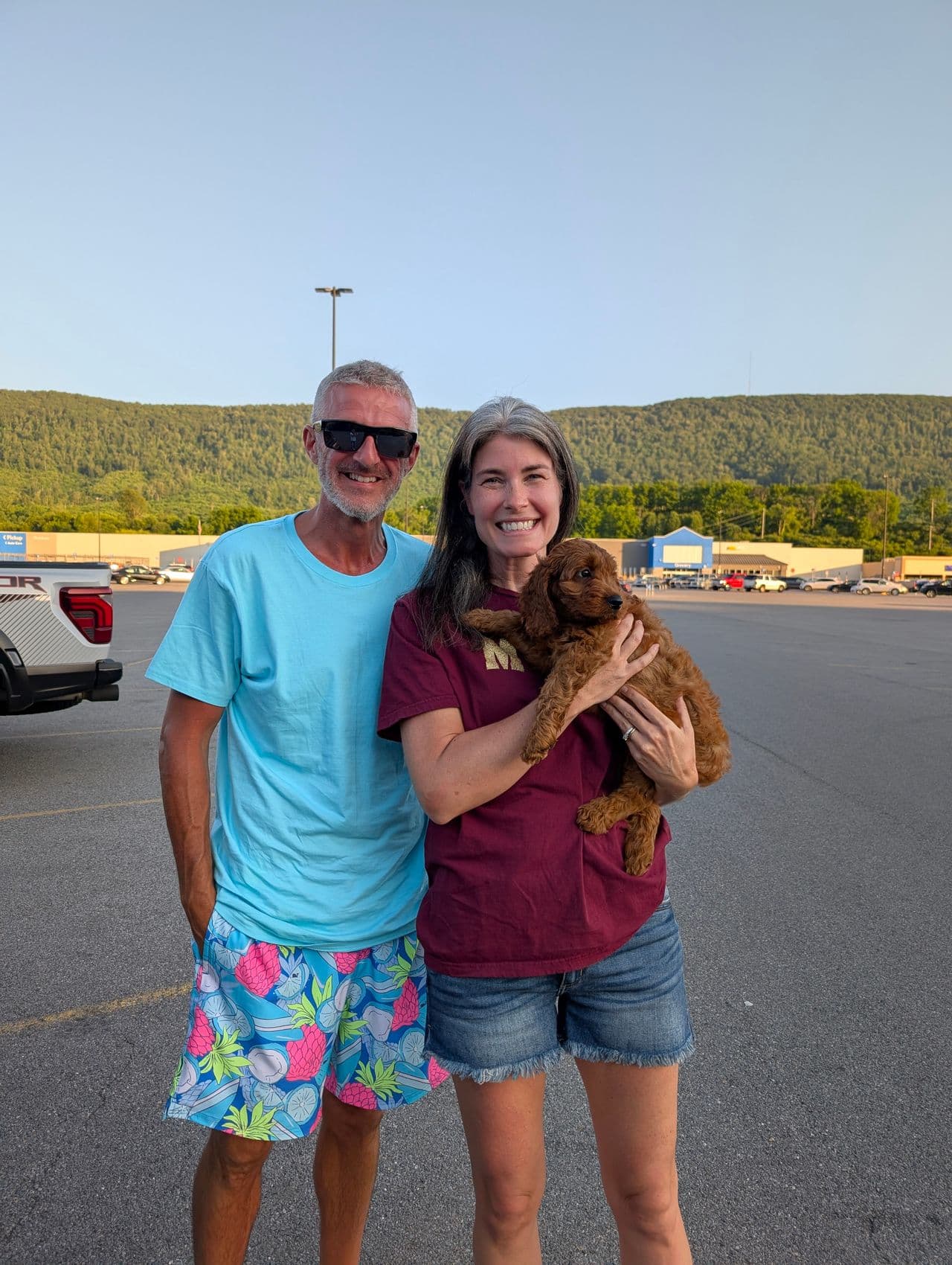 Pet travel photo 6