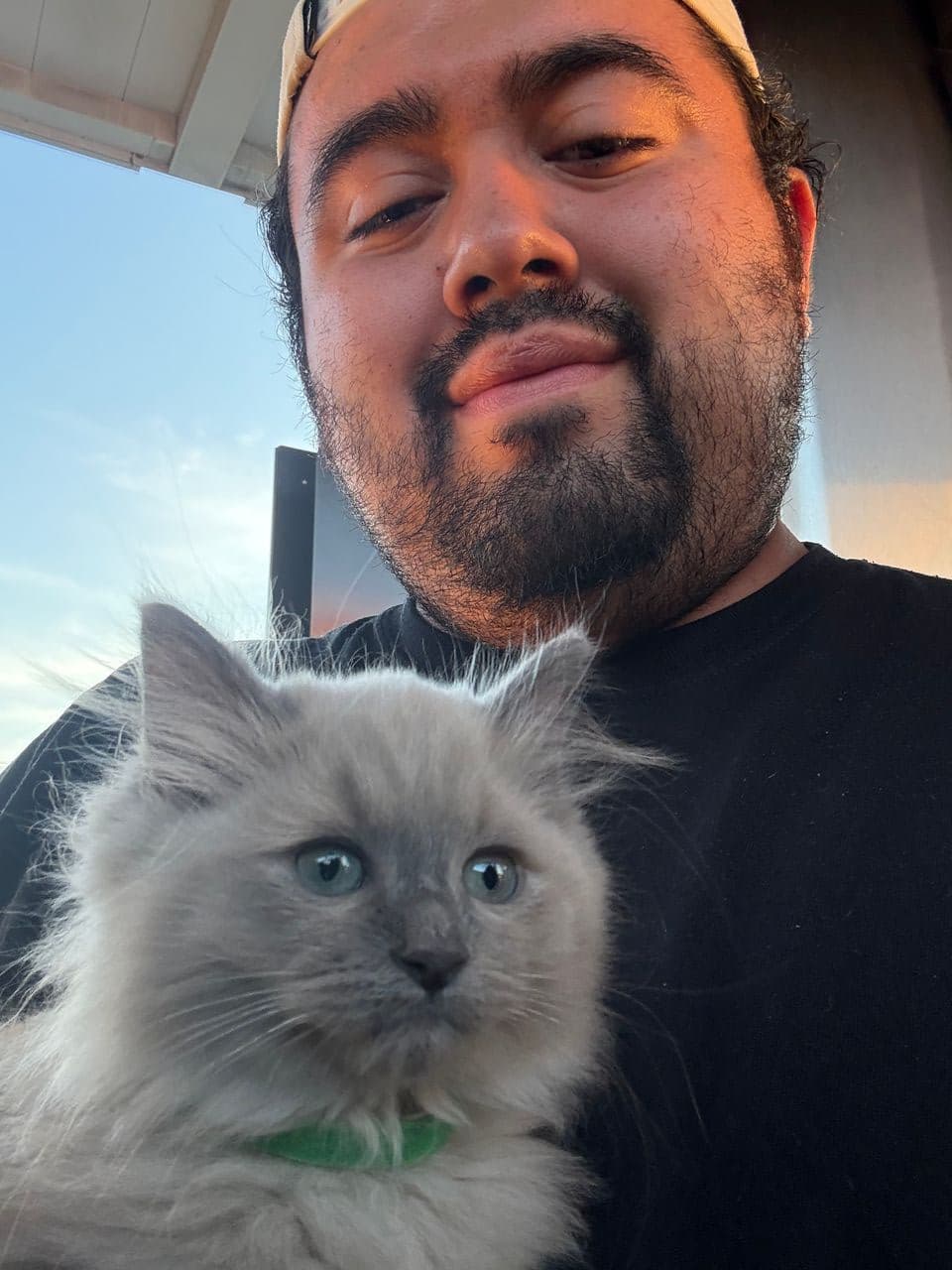 Pet travel photo 3