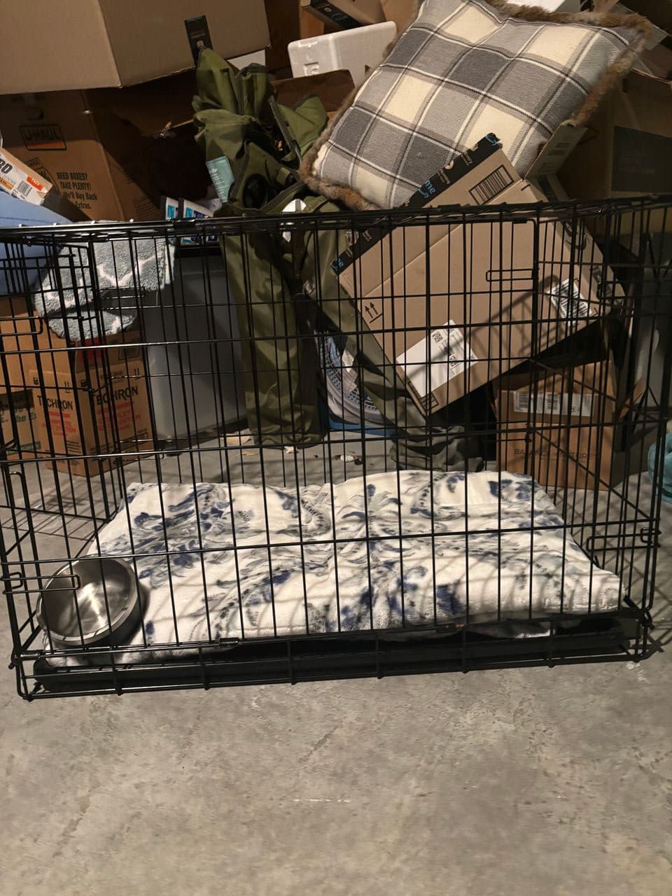 Pet travel photo 1