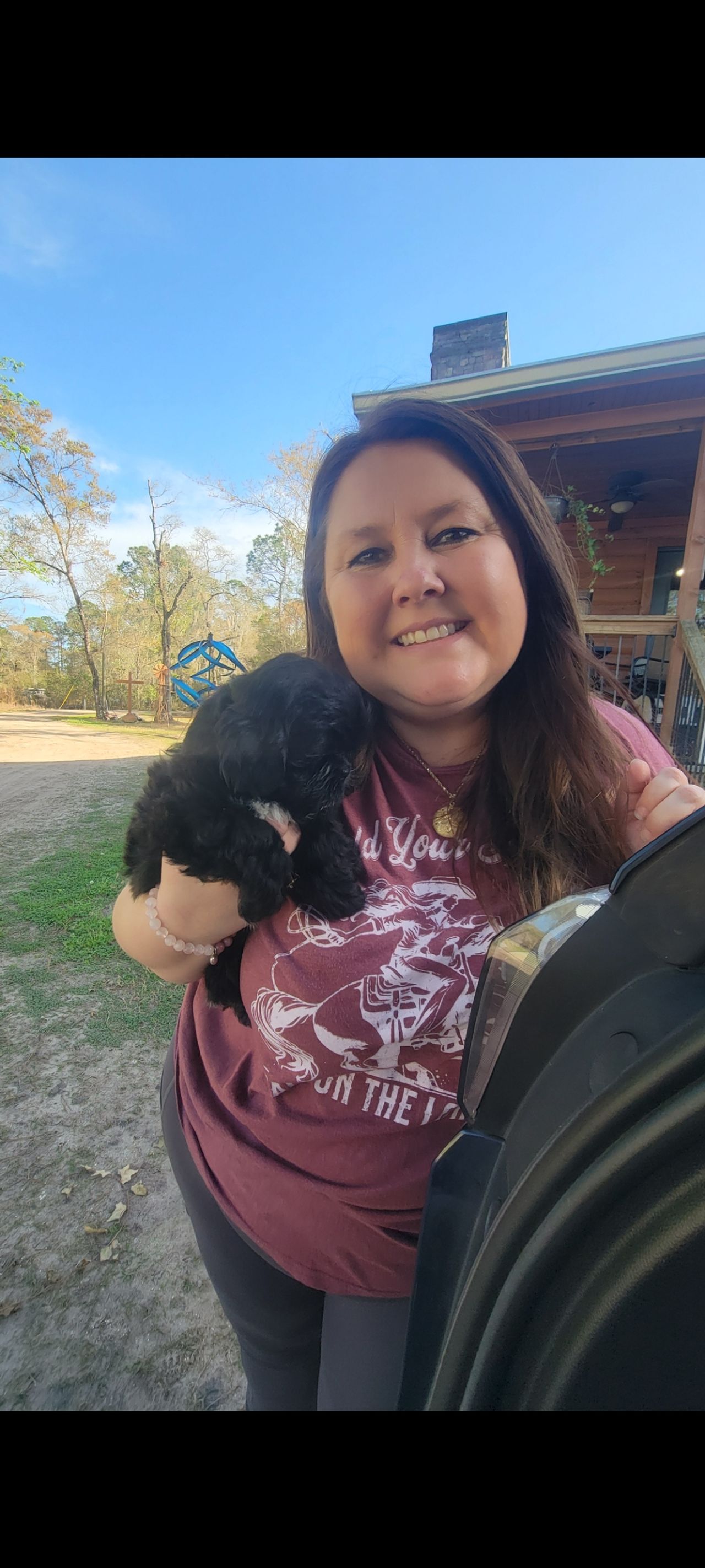 Pet travel photo 2