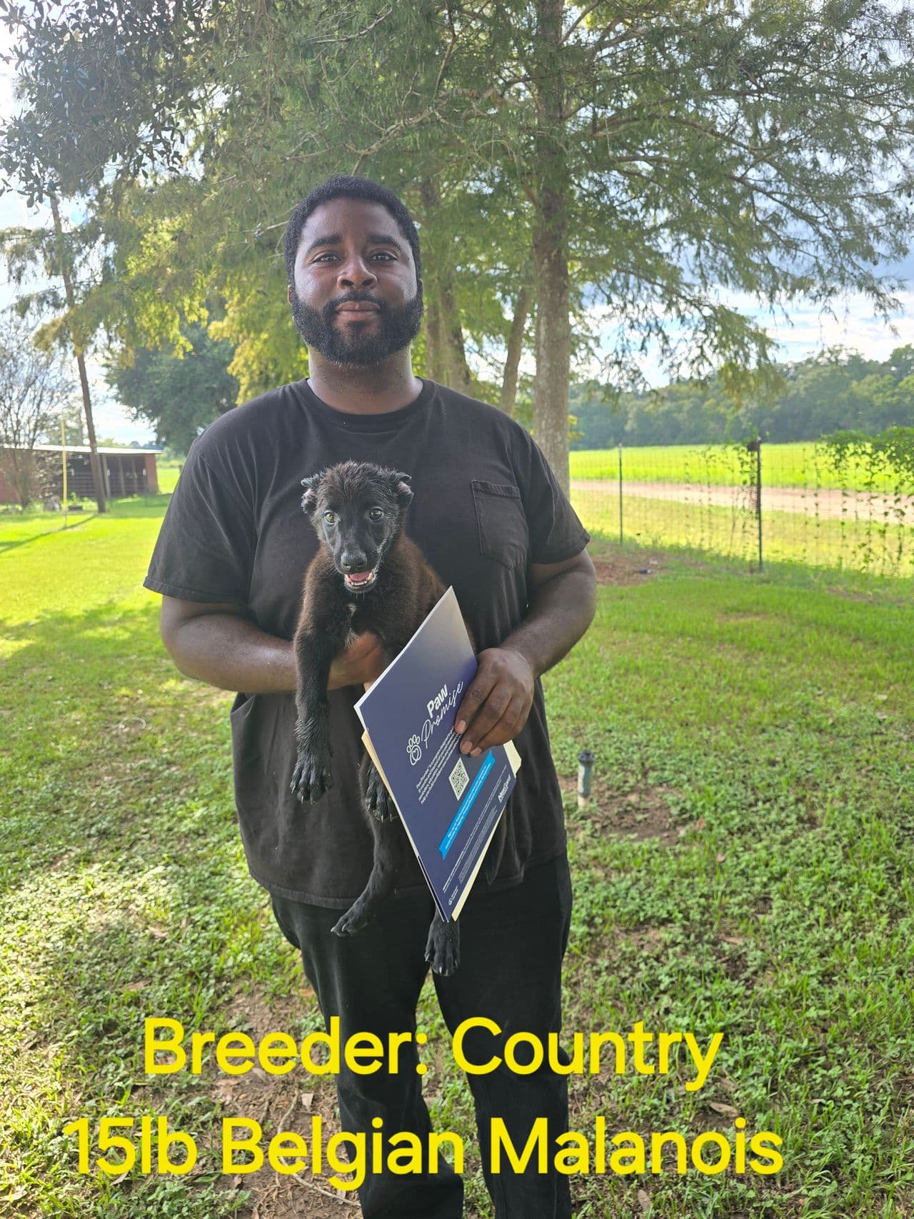 Pet travel photo 3