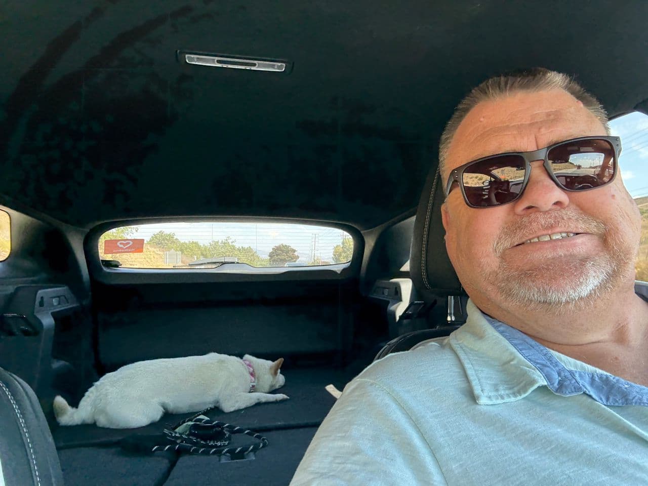 Pet travel photo 1