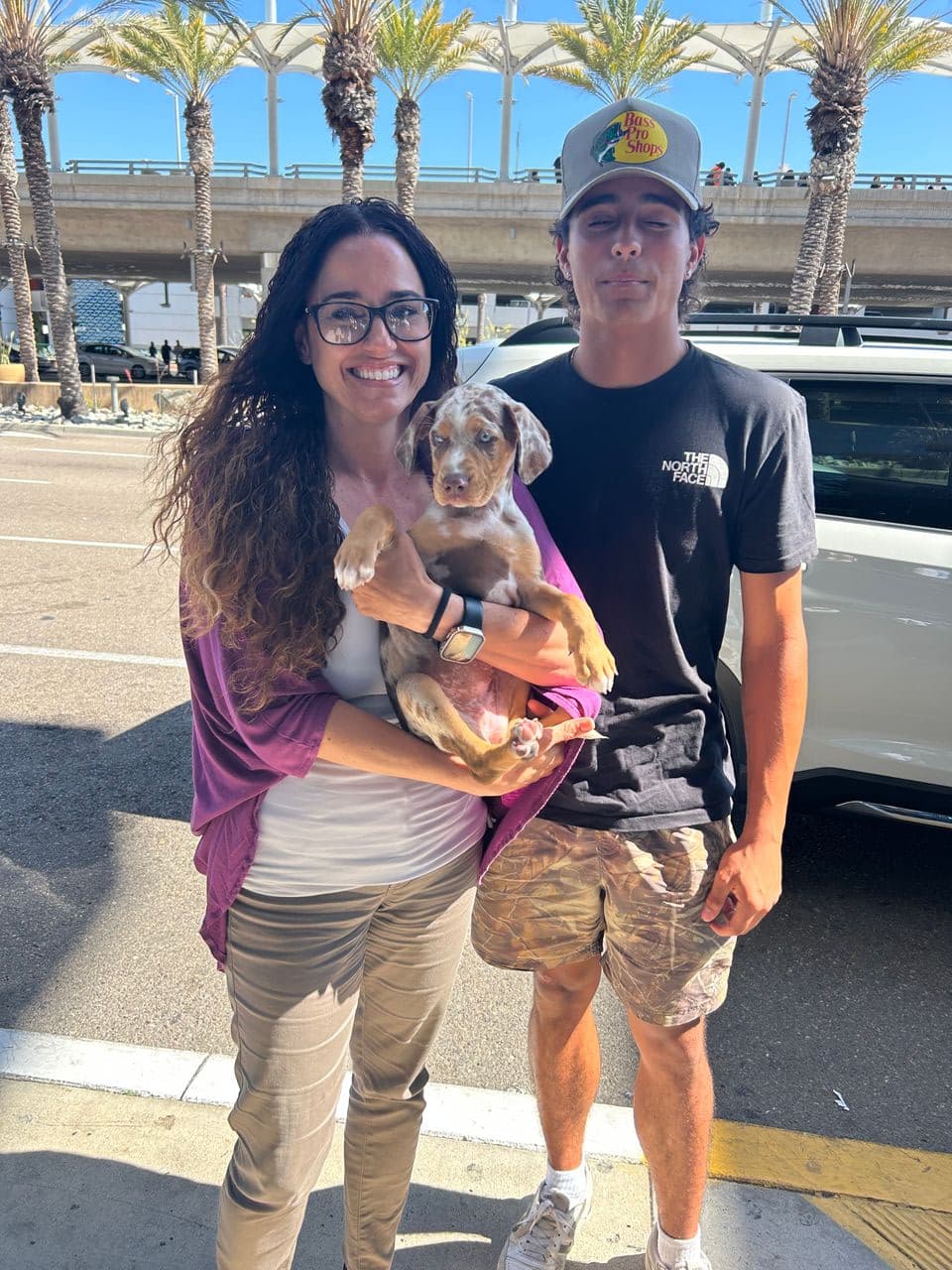 Pet travel photo 6