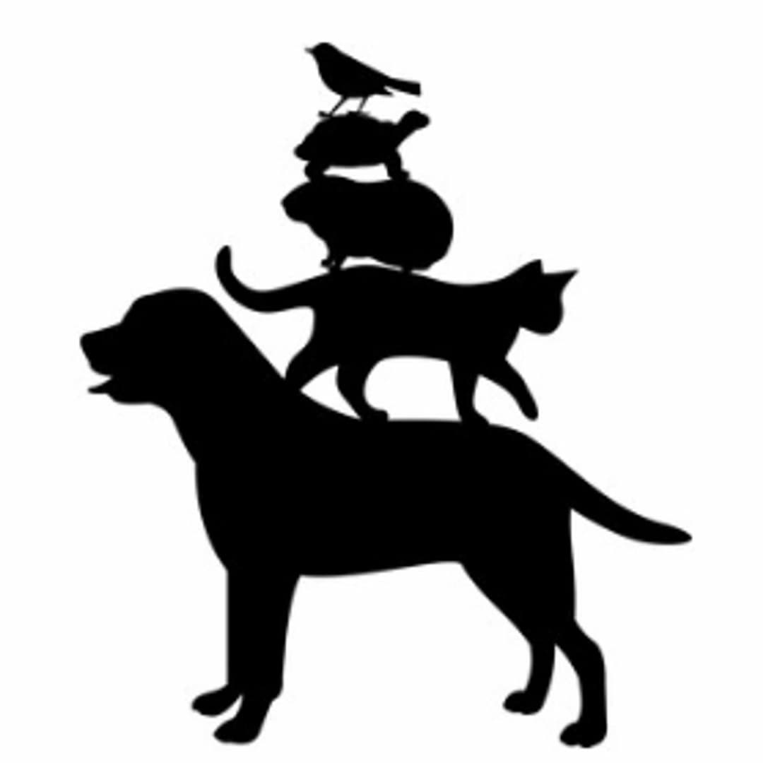 Avid Pets Express