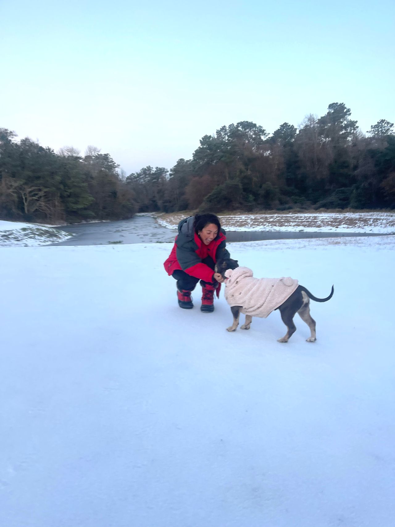 Pet travel photo 4